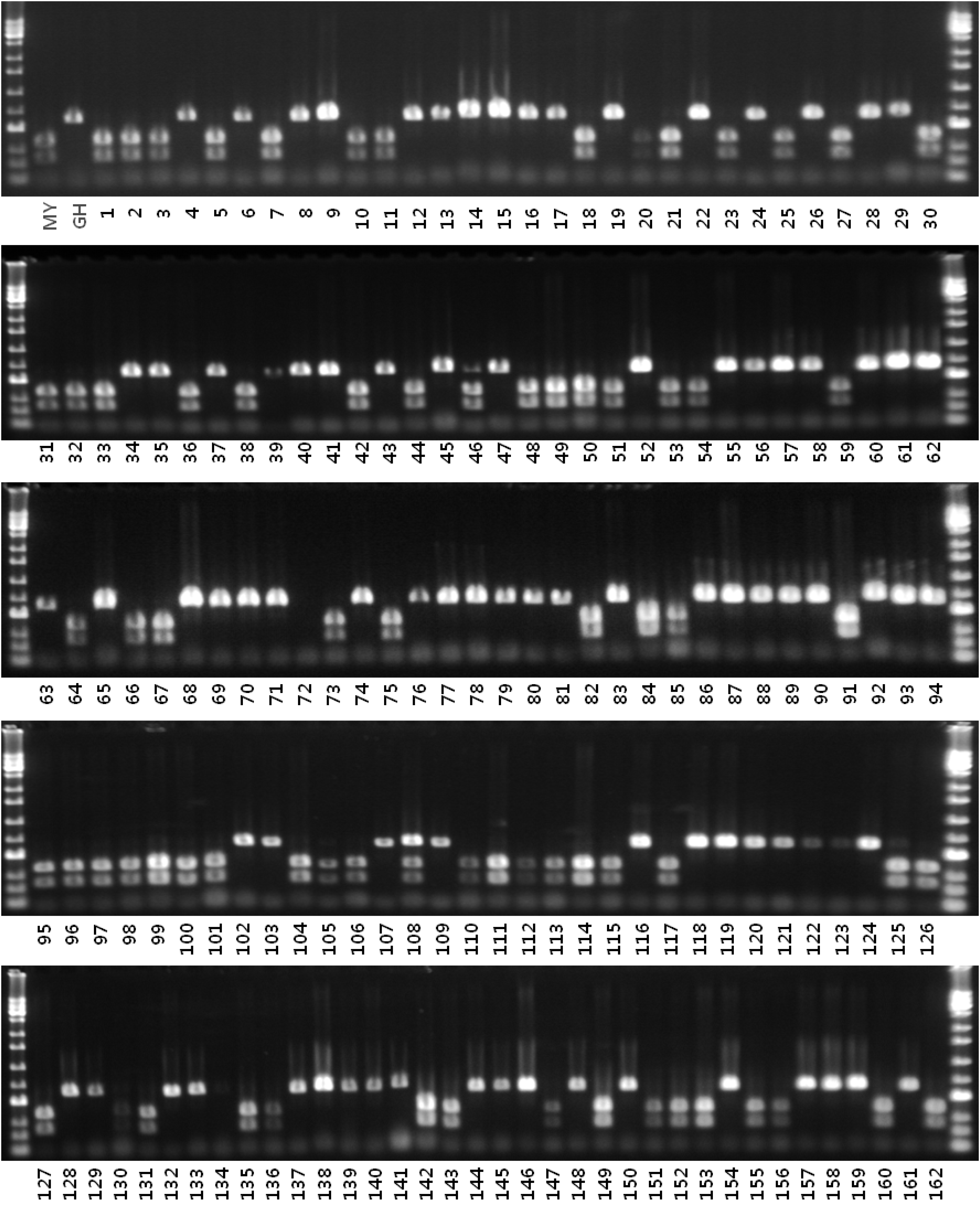 KJBS-46-116_F1.gif
