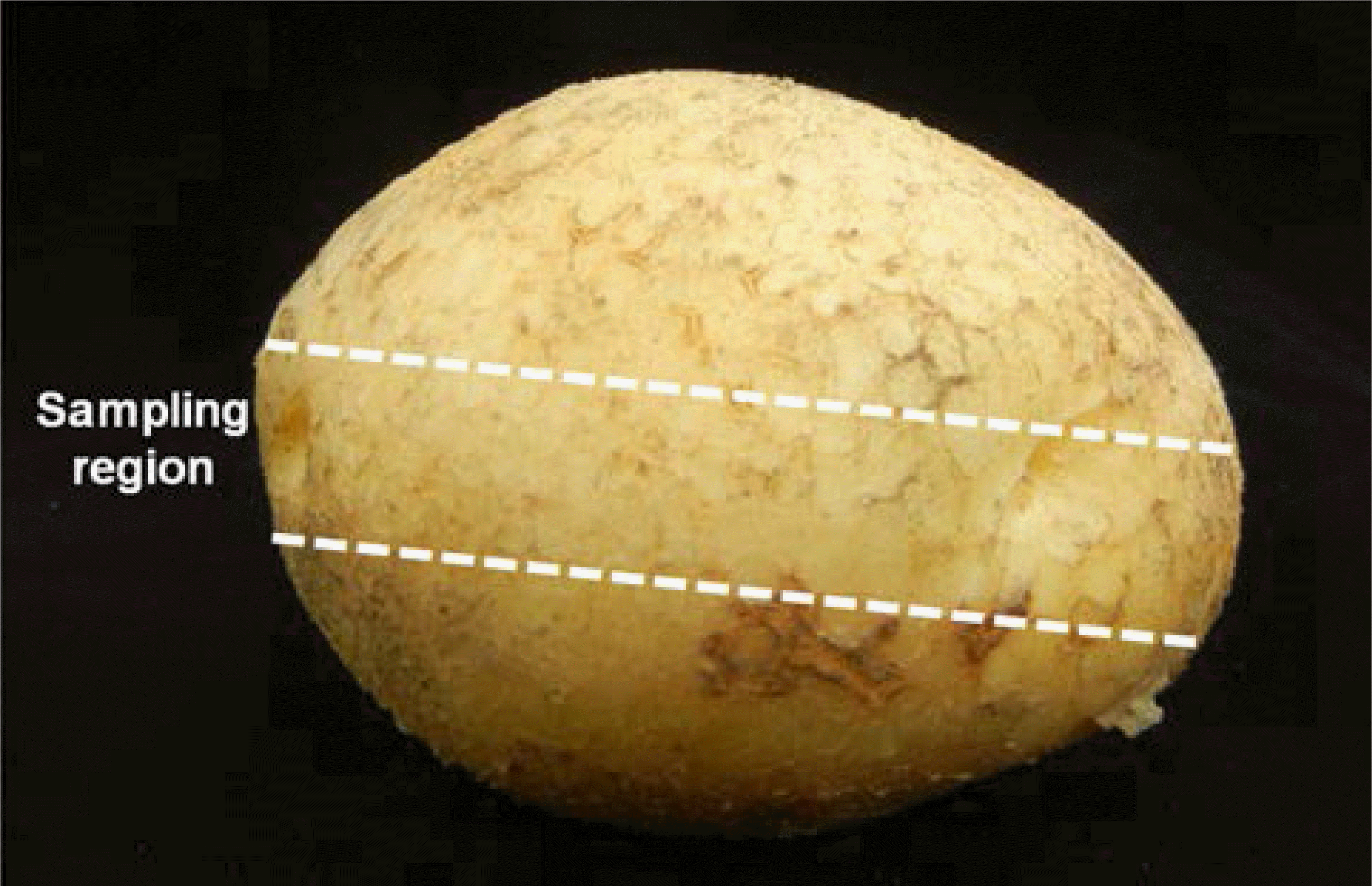 KJBS-46-209_F1.gif
