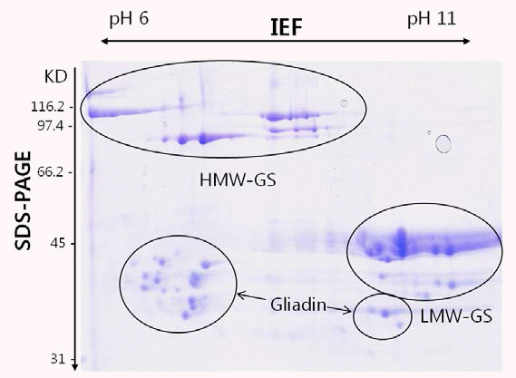 KJBS-46-342_F1.gif