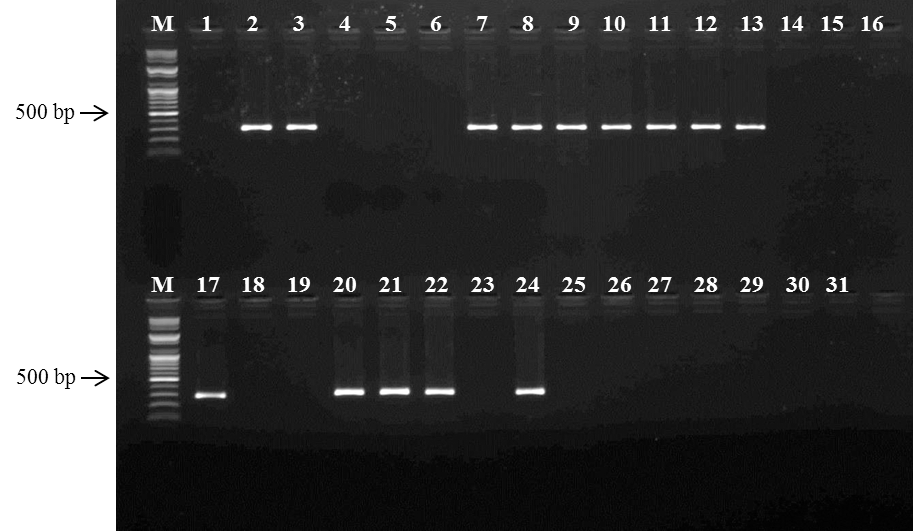 KJBS-46-364_F2.gif