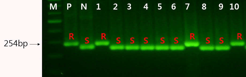 KJBS-46-481_F3.gif