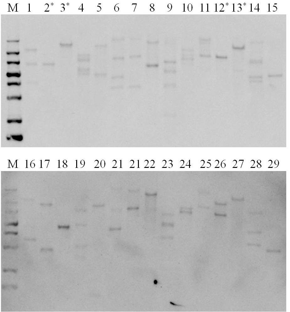 KJBS-47-111_F2.gif