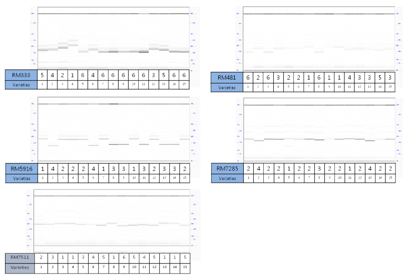 KJBS-47-299_F4.gif