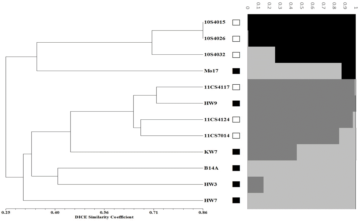 KJBS-47-54_F4.gif