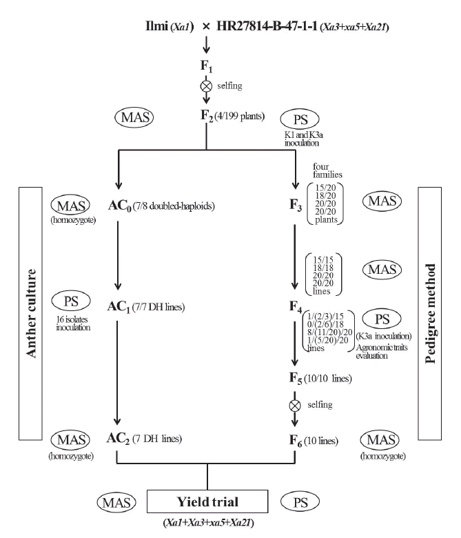 KJBS-48-2-140_F1.gif