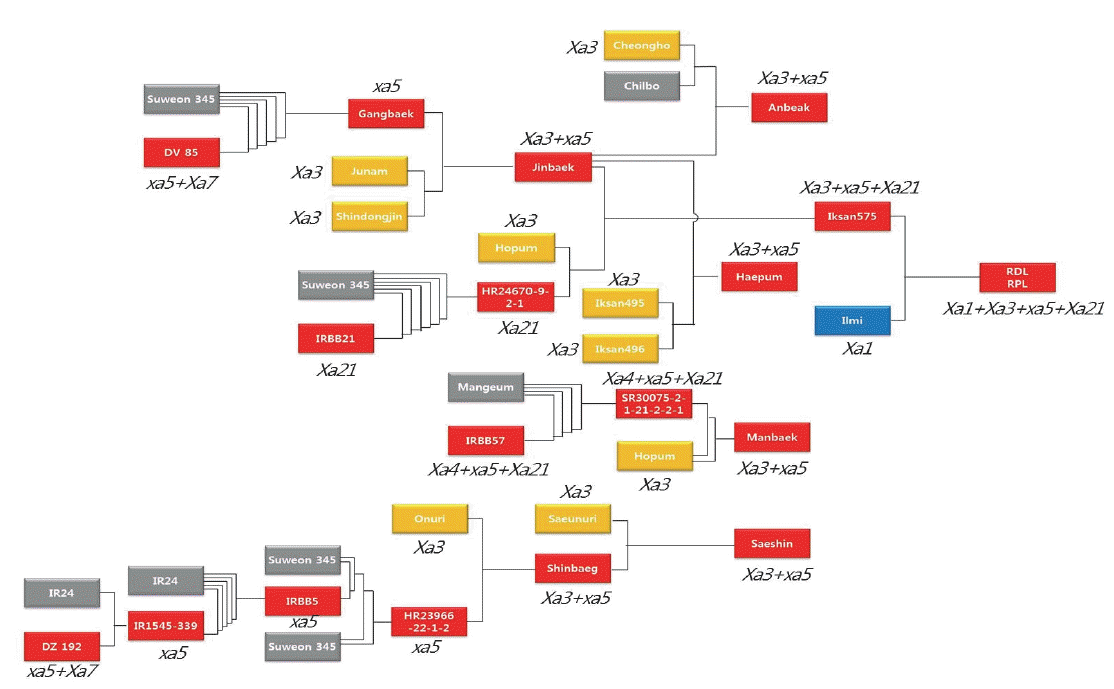 KJBS-48-2-140_F7.gif