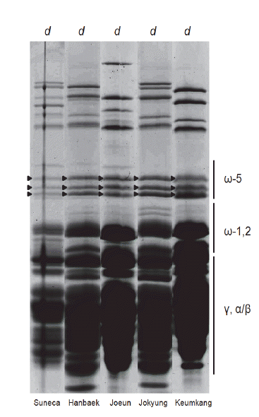 KJBS-48-2-159_F3.gif