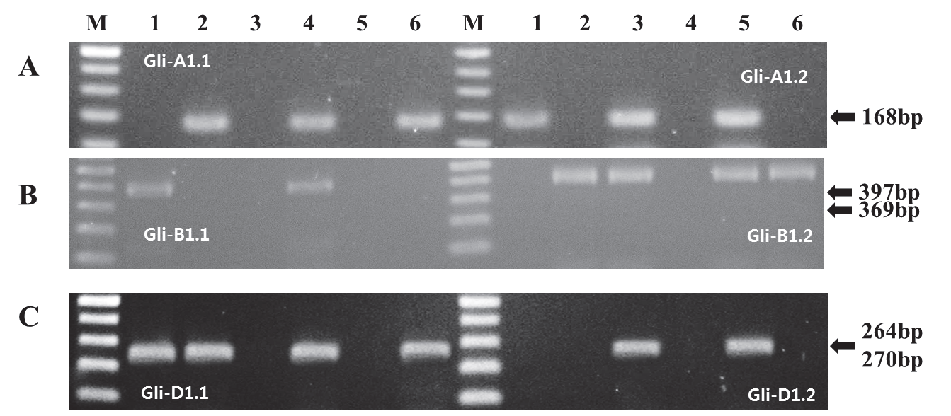 KJBS-48-3-206_F2.gif