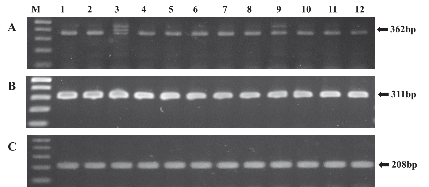 KJBS-48-3-206_F4.gif