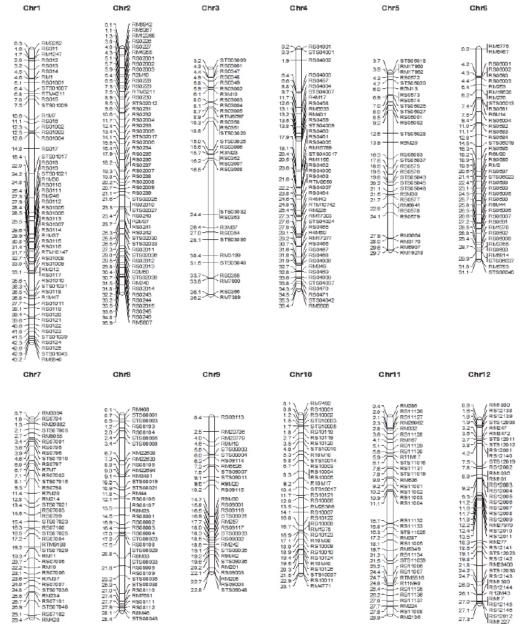 KJBS-48-3-217_F2.gif