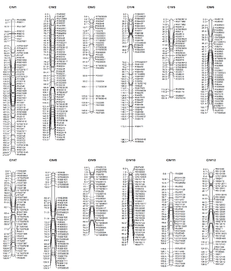 KJBS-48-3-217_F3.gif