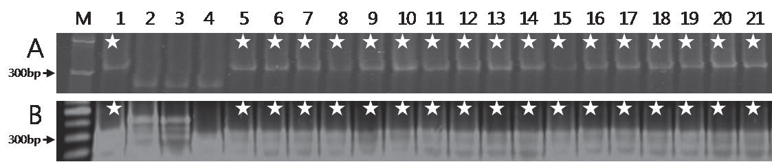 KJBS-48-4-414_F2.gif