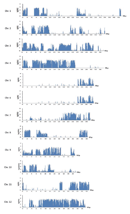 KJBS-48-4-460_F2.gif