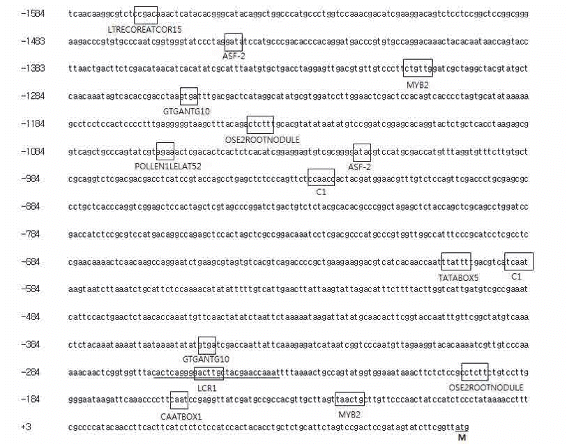 KJBS-49-190_F1.gif