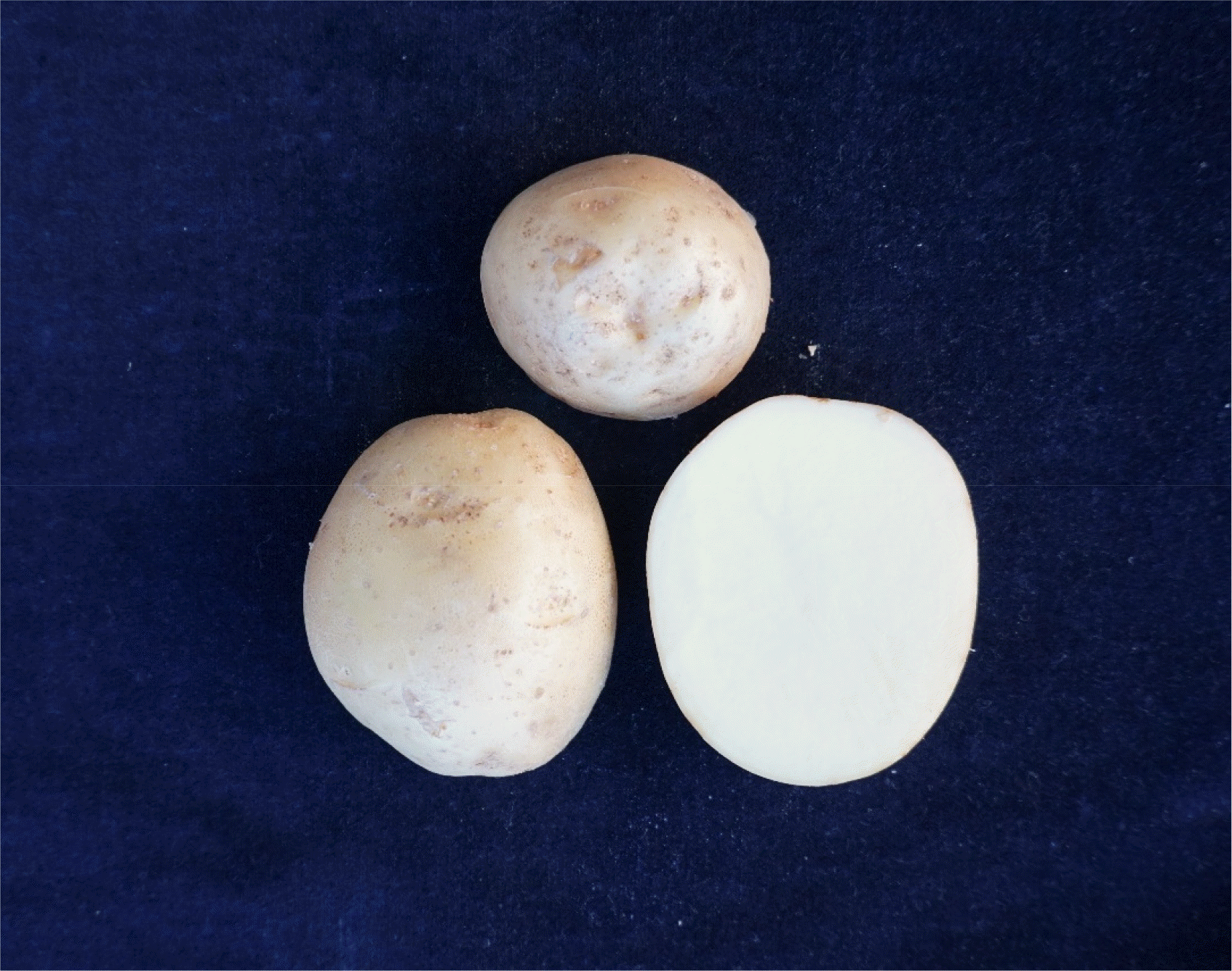 KJBS-52-069-f3.gif