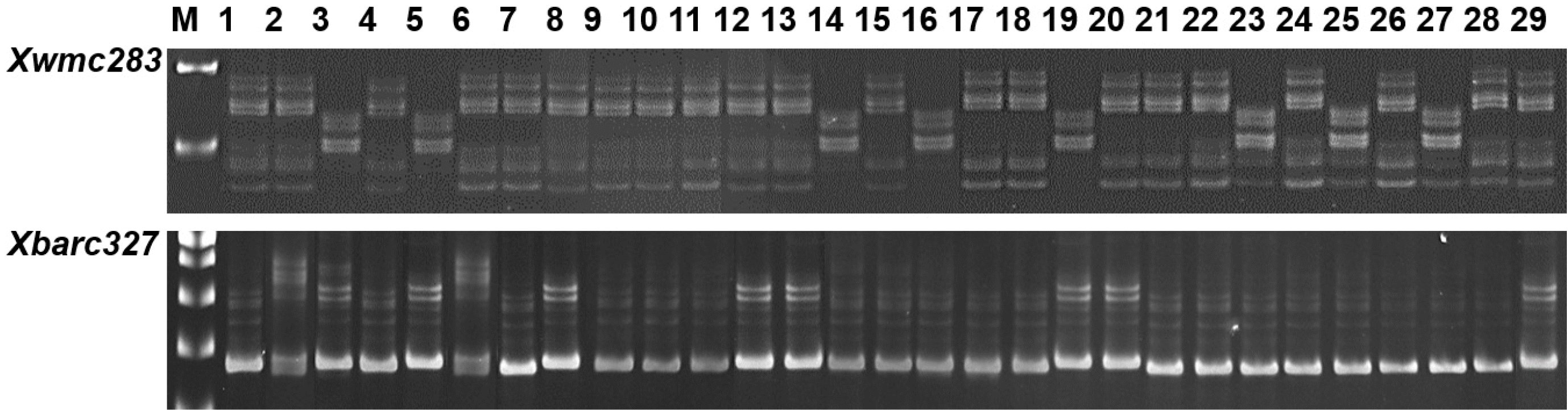 KJBS-52-104-f4.gif