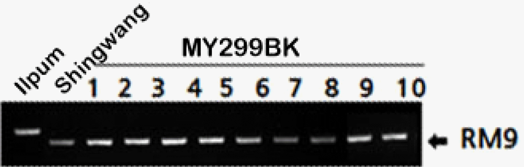 KJBS-52-172-f3.gif
