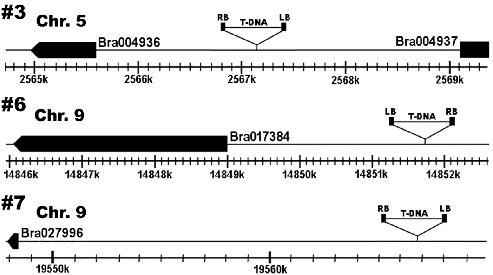 KJBS-52-244-f4.gif