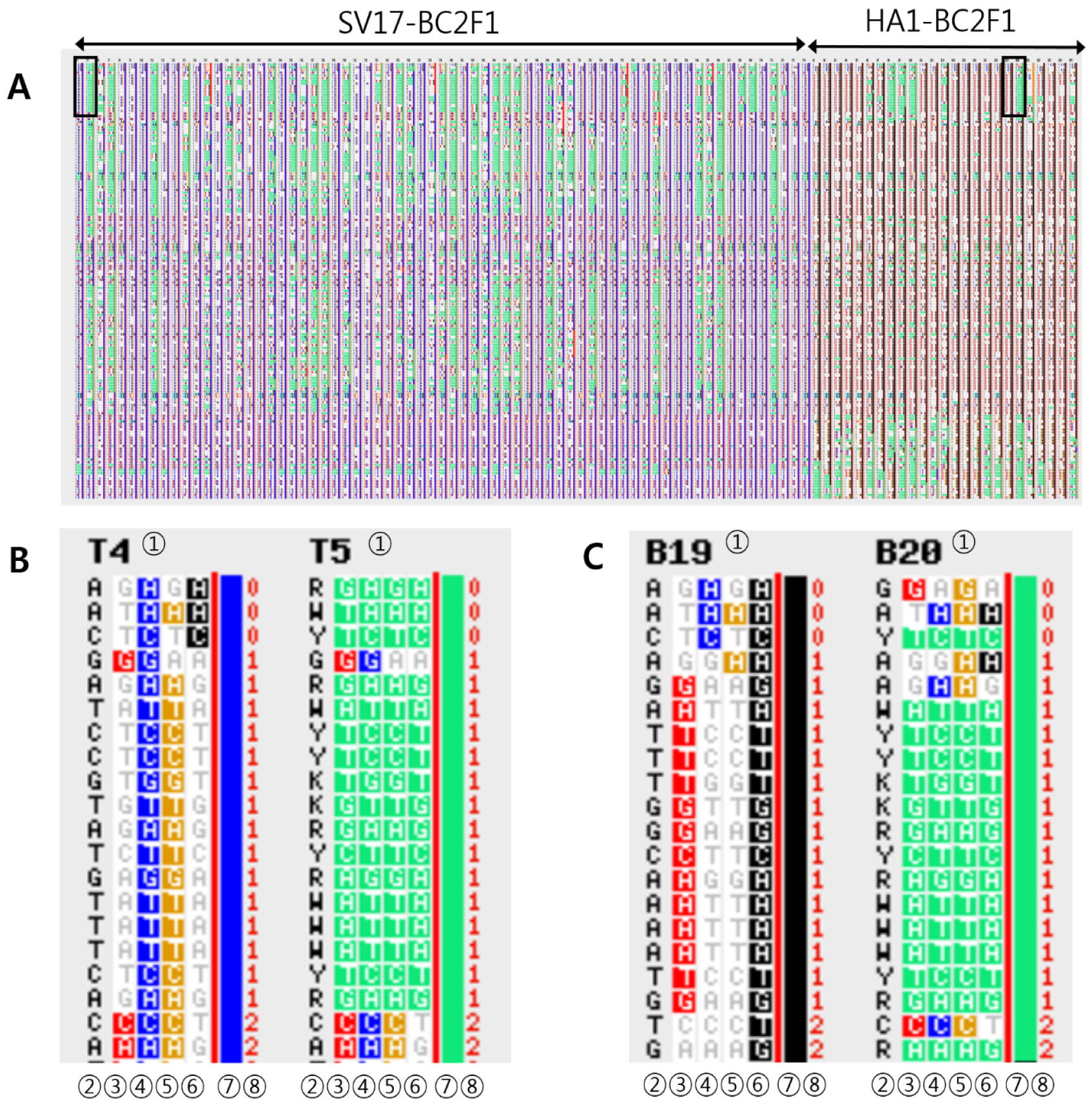 KJBS-52-374-f2.jpg