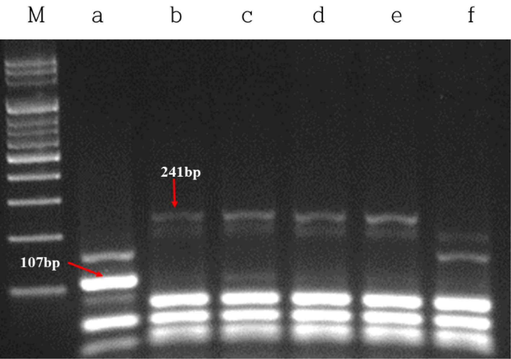 KJBS-52-433-f3.jpg
