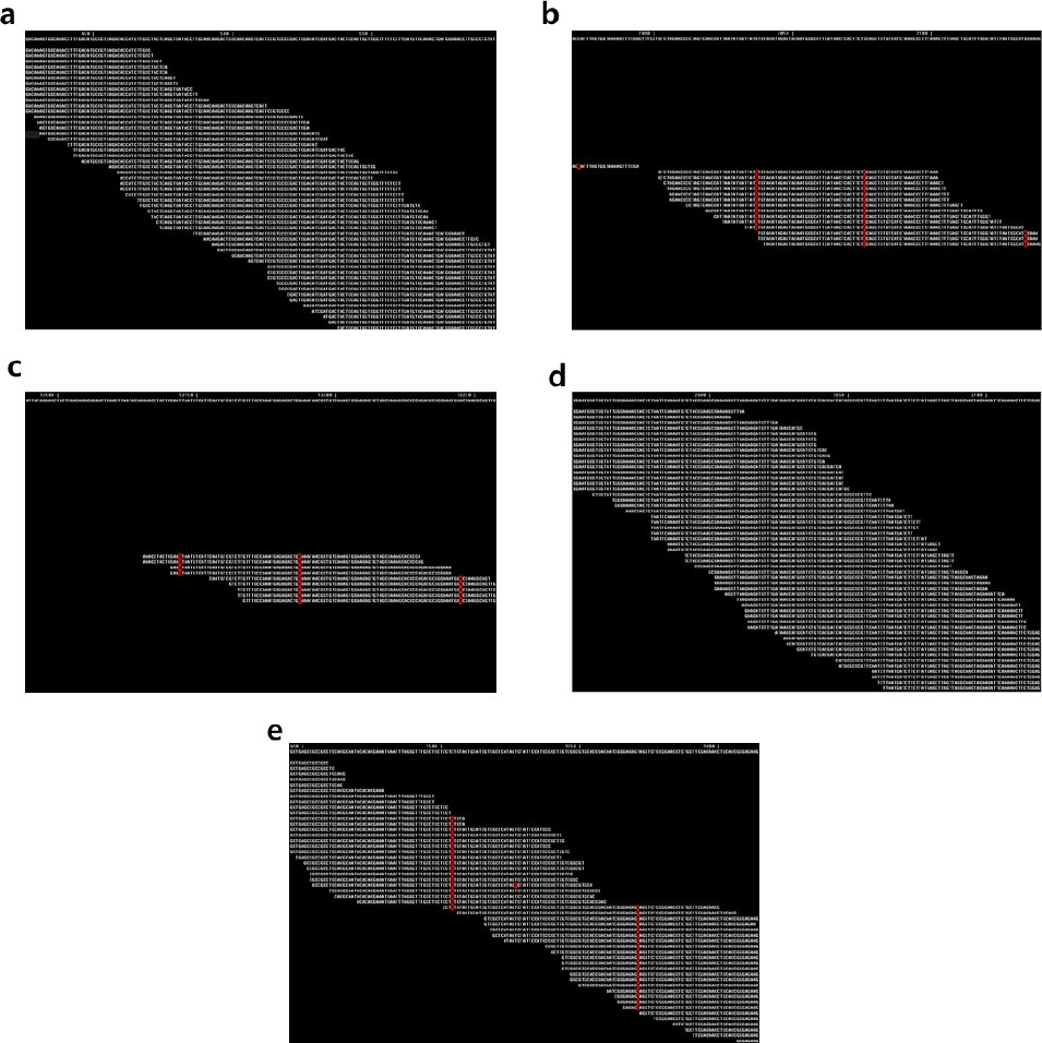 KJBS_50_104_fig_2.jpg