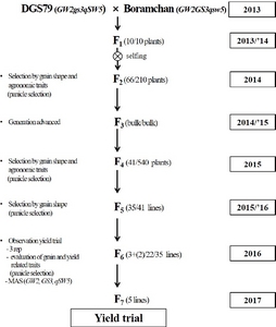 KJBS_50_116_fig_1.jpg