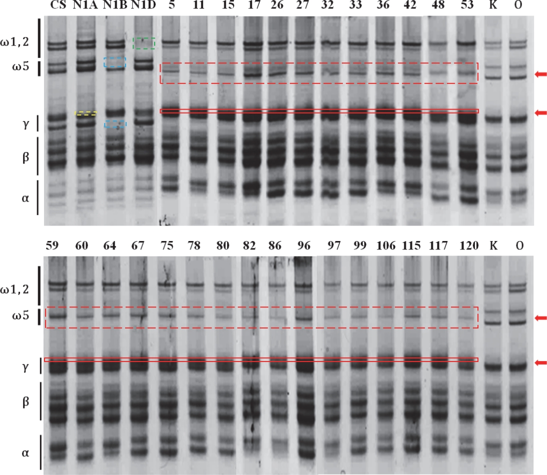 KJBS_50_181_fig_5.jpg