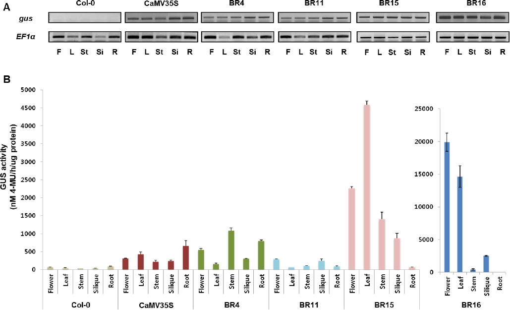 KJBS_50_193_fig_3.jpg