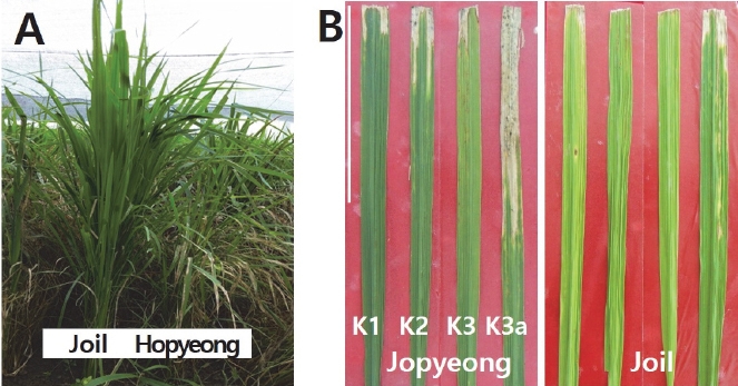 KJBS_50_280_fig_3.jpg