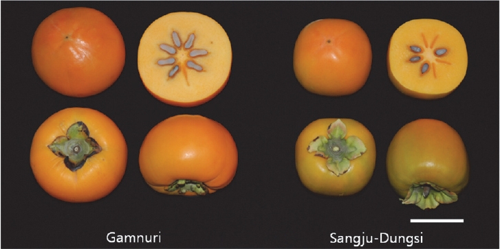 KJBS_50_340_fig_2.jpg
