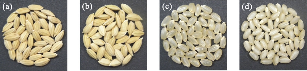 KJBS_50_344_fig_3.jpg