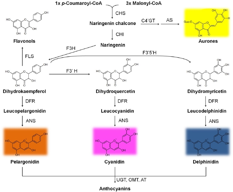 KJBS_50_351_fig_1.jpg