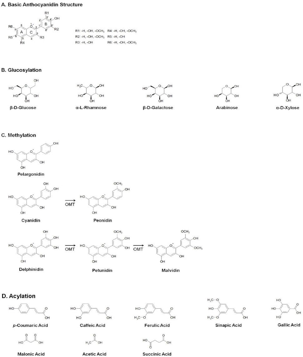 KJBS_50_351_fig_2.jpg