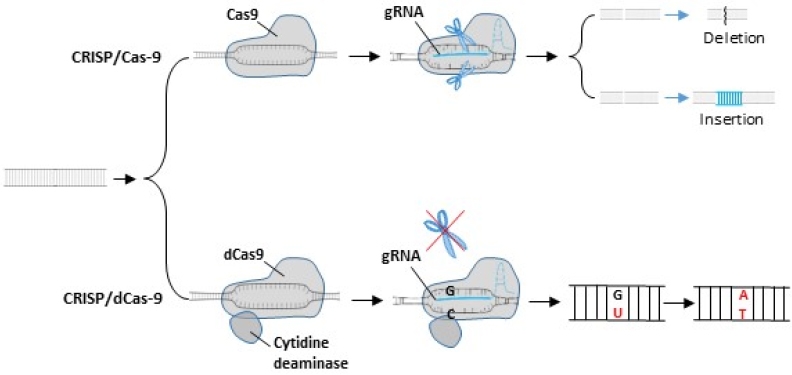 KJBS_50_364_fig_2.jpg