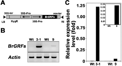 KJBS_50_378_fig_1.jpg