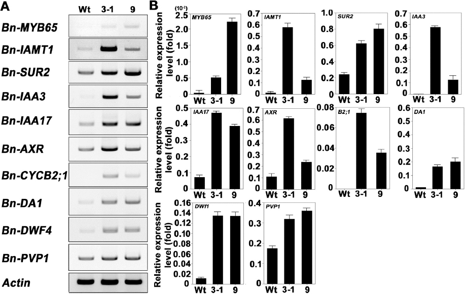 KJBS_50_378_fig_6.jpg