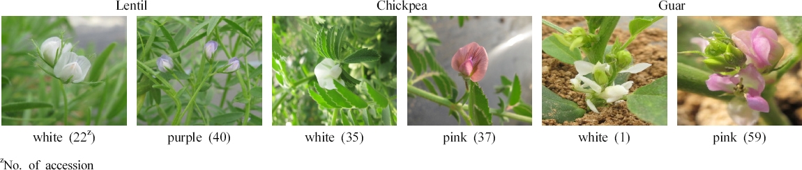 KJBS_50_453_fig_2.jpg