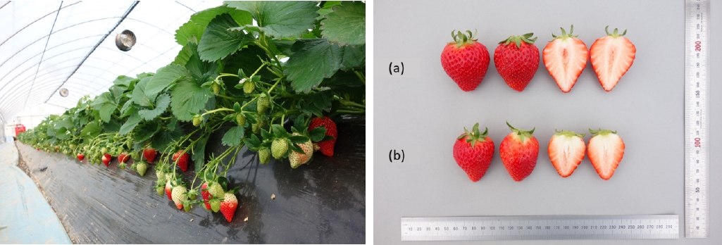 KJBS_50_497_fig_3.jpg