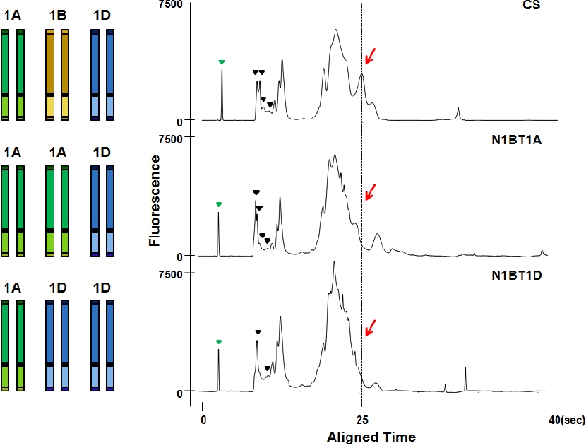 KJBS_50_81_fig_2.jpg
