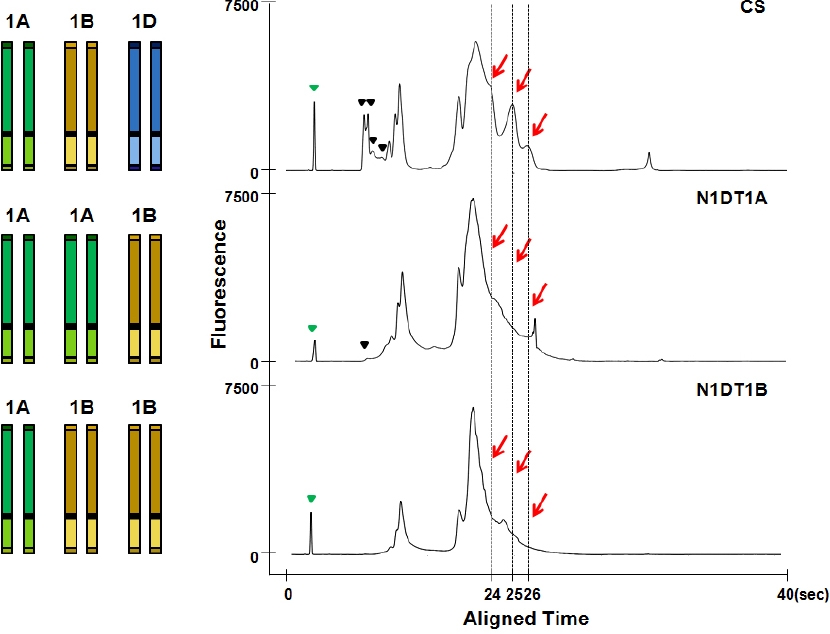 KJBS_50_81_fig_3.jpg
