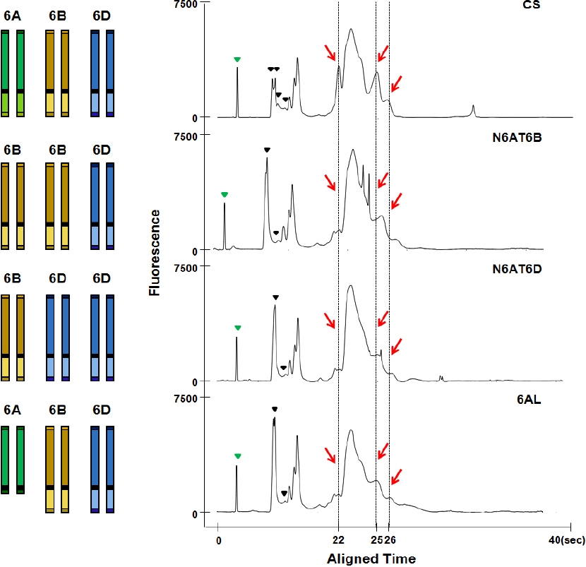 KJBS_50_81_fig_4.jpg