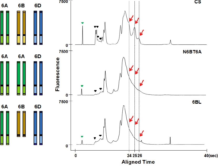 KJBS_50_81_fig_5.jpg