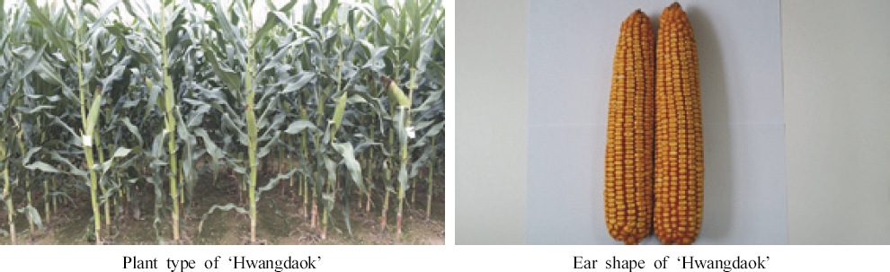 KJBS_51_105_fig_2.jpg