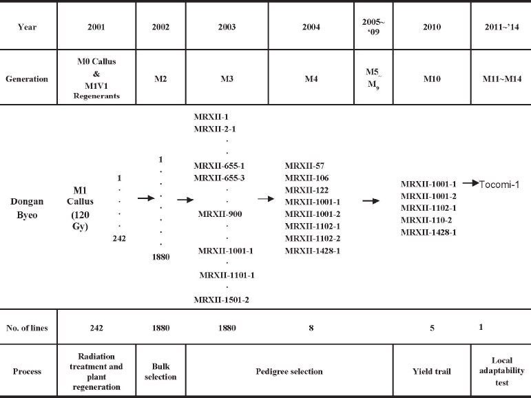 KJBS_51_128_fig_1.jpg