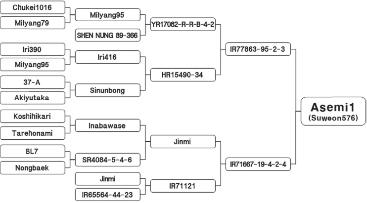 KJBS_51_140_fig_2.jpg
