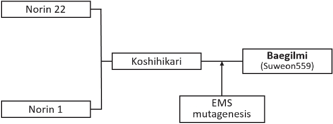 KJBS_51_151_fig_2.jpg