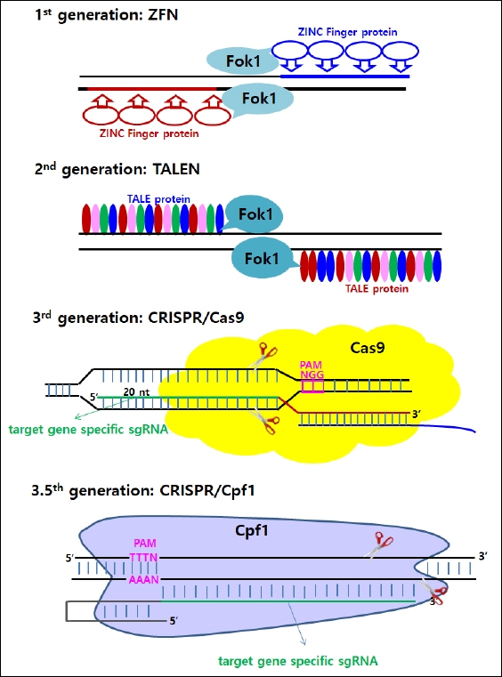 KJBS_51_161_fig_1.jpg