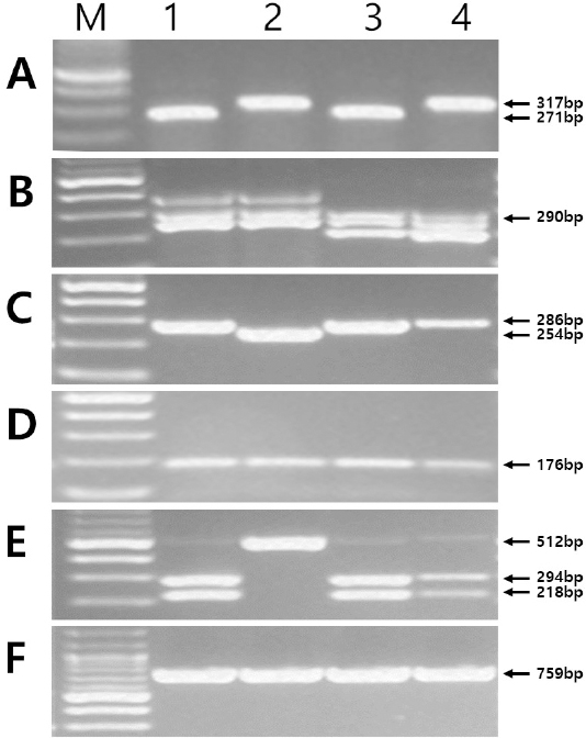 KJBS_51_190_fig_3.jpg