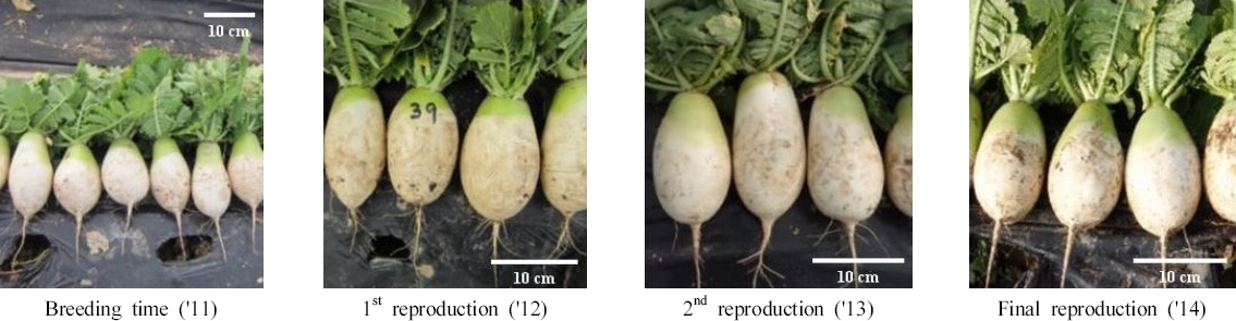 KJBS_51_48_fig_2.jpg