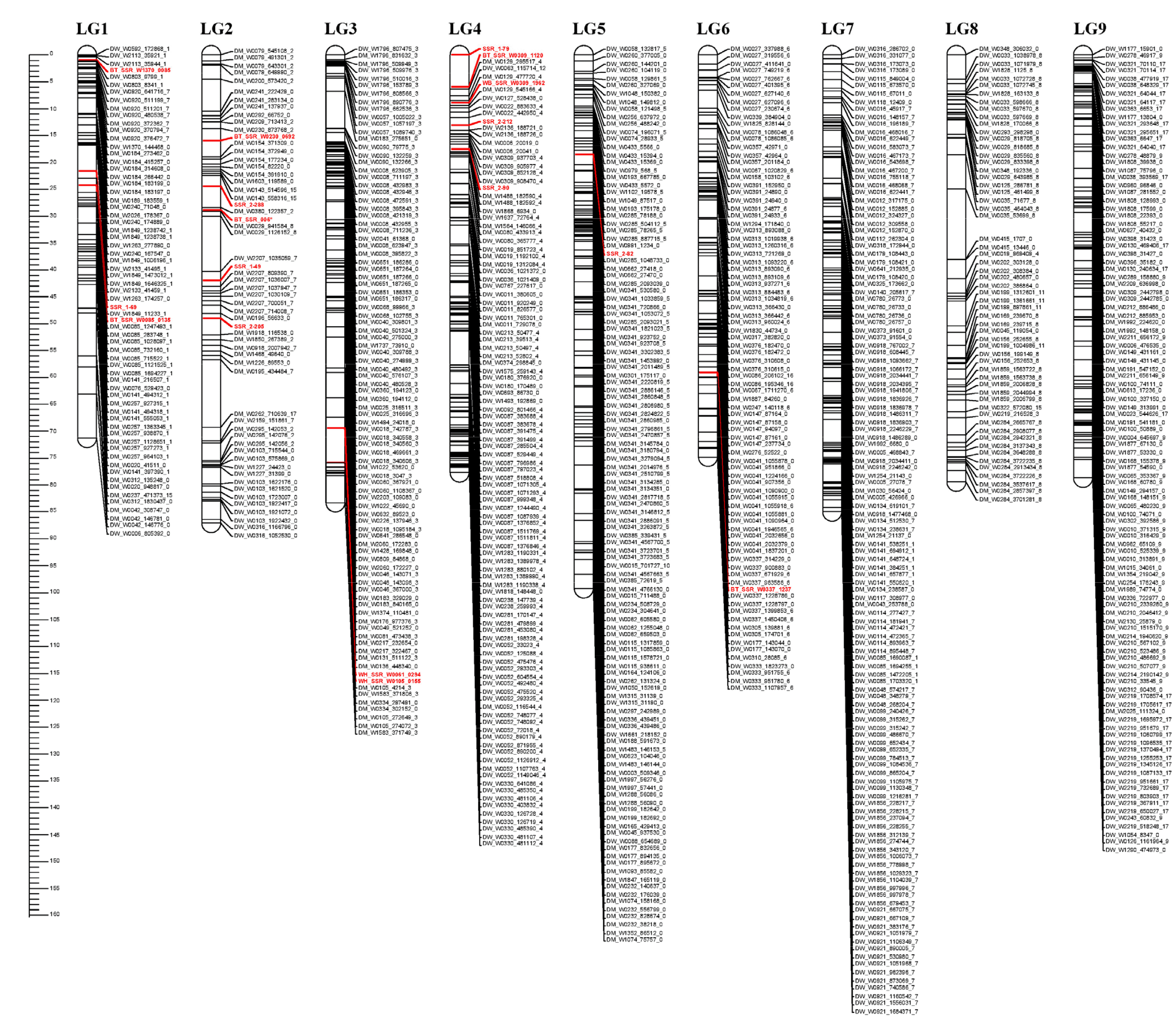 kjbs-54-4-285-f1a.gif